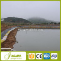 Chinese Credible Supplier Hdpe Geomembrane Price